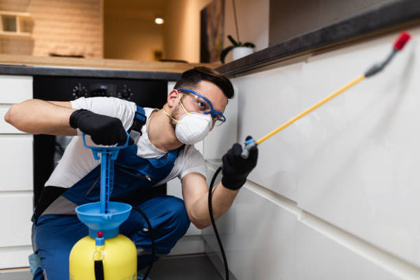 Best Bed Bug Extermination  in Hurley, NM