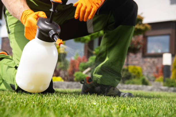 Best Emergency Pest Control  in Hurley, NM
