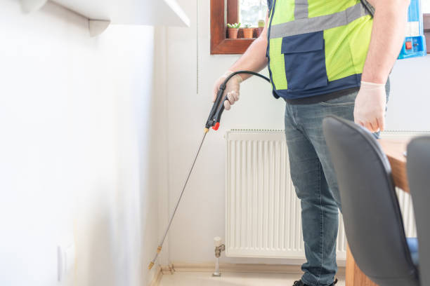 Best Pest Control Near Me  in Hurley, NM