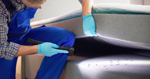 Best Pest Removal Services  in Hurley, NM