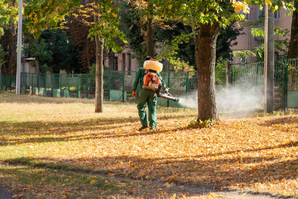 Best Termite Control Services  in Hurley, NM
