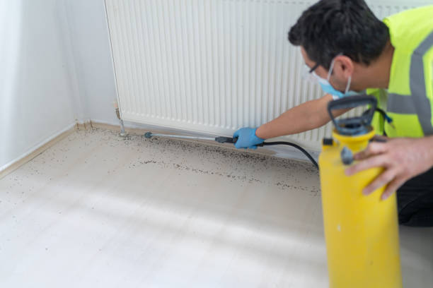 Best Emergency Pest Control  in Hurley, NM